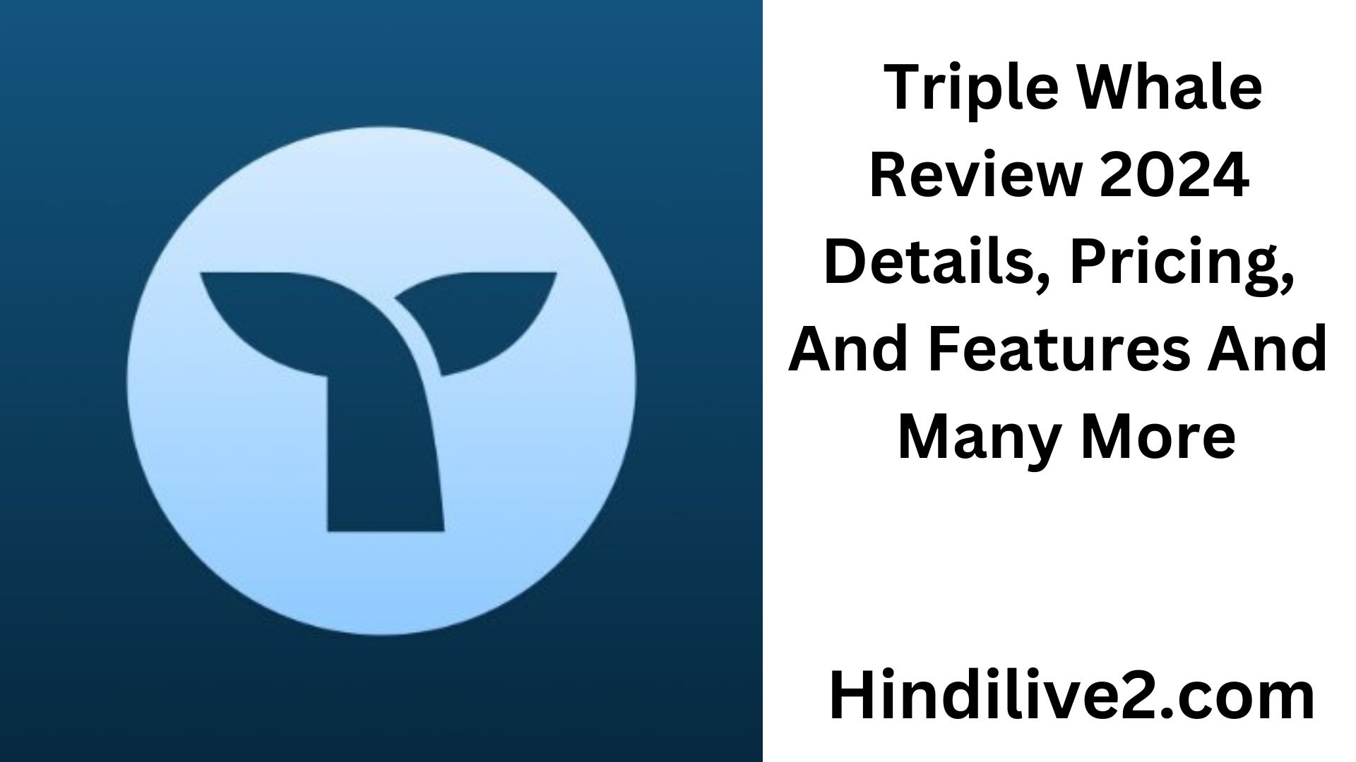 , triplewhale login, triplewhale shopify, triplewhale alternatives, triplewhale pricing,